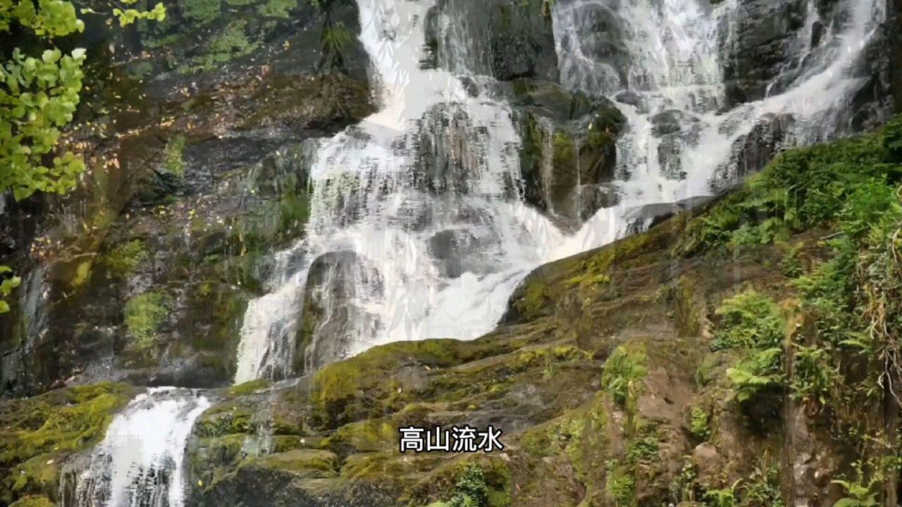 关于严厉打击赌博违法犯罪活动的通告
